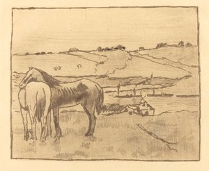 Caballos en el prado