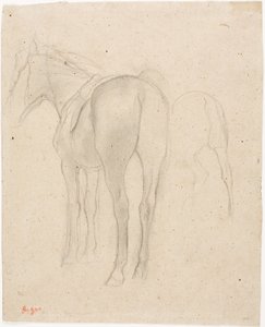 Estudios de un caballo