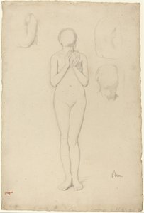 Estudio de un desnudo femenino