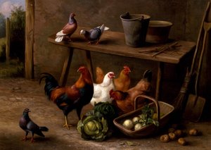Gallinas, palomas y tórtolas de Edgar Hunt