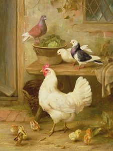 A la espera de ser alimentado de Edgar Hunt