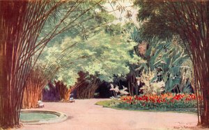 Un bosquecillo de bambú, Jardín Botánico (litografía en color)