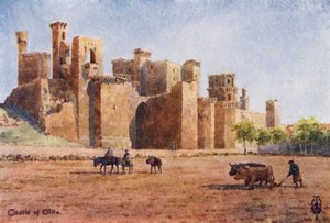 Norte de España: Olite, El Castillo (litografía en color) de Edgar T. A. Wigram