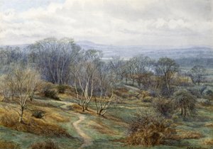 Hampstead Heath mirando hacia Harrow on the Hill, c.1880 de Edith Martineau