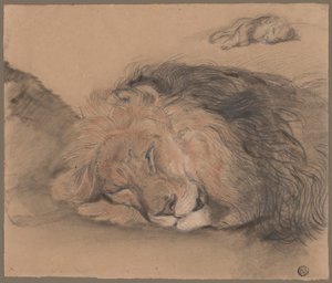 Cabeza de león y boceto de león