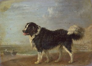Imagen Desconocida de Edmund Bristow