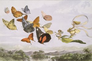 En el País de las Hadas: Una Serie de Imágenes del Mundo de los Elfos, 1870 de Edmund Evans