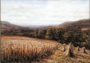 Tiempo de cosecha cerca de Ashburton de Edmund George Warren