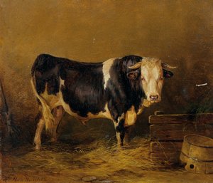 toro en el establo de Edmund Mahlknecht