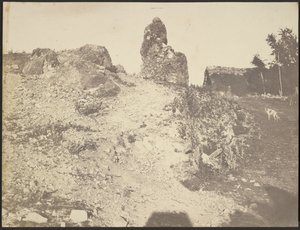 [Paisaje rocoso] de Édouard Baldus