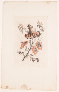 Flores del parasol
Fleurs Idéalle (título de la serie) de Edouard Gautier Dagoty