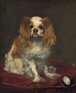 Un spaniel King Charles, c. 1866 de Édouard Manet