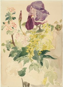 Ramo de flores con lirio, lluvia dorada y geranio. 1880 de Édouard Manet