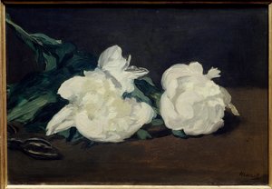 Rama de peonías blancas y tijeras de podar de Édouard Manet