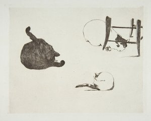 Gatos, 1868-69