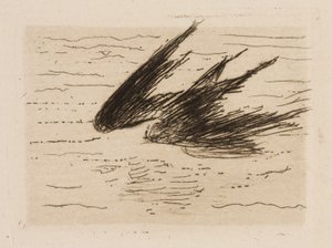 Golondrinas, plato 8 de Le Fleuve de Édouard Manet