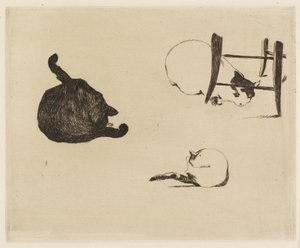 Los Gatos