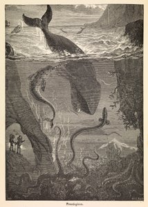 Frontispicio de "Veinte mil leguas de viaje submarino" de Julio Verne, c.1870 (grabado) de Edouard & Neuville Alphonse Marie Adolphe de (1835 85) Riou