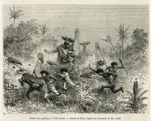 Una pandilla de niños cazando mariposas, acompañados por el autor, en Villavicencio (Colombia), dibujo de Riou, para ilustrar la historia de América Equinoccial (Colombia, Ecuador, Perú), en 1875-1876, por Ed. André, viajero encargado de la misión por el F
