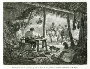 Un laboratorio de taxidermia en la selva virgen, en la región de Llanos (Colombia), dibujo de Riou, para ilustrar la historia de América Equinoccial (Colombia, Ecuador, Perú), en 1875-1876, por Ed. André, misión de viaje encargada por el gobierno francés.  de Edouard Riou