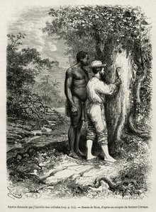 Apatou, guía y compañero de viaje pide al autor explorador que grabe sus iniciales en la corteza de un árbol. Grabado por Riou, ilustración de la historia de Cayena a los Andes, por Jules Crevaux, médico de la marina francesa, en 1878-1879, publicado en el