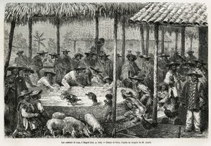 Pelea de gallos y animación callejera en Ibague (Colombia), ilustración de la historia de América Equinoccial (Colombia, Ecuador, Perú), en 1875-1876, por Ed. André, misión de viajero encargada por el gobierno francés. Grabado en Le tour du monde de Edouard Riou