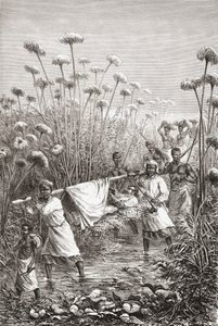 El Dr. David Livingstone siendo llevado los últimos kilómetros al pueblo de Tchitammbo, África, poco antes de su muerte, ilustración de "El mundo en las manos", grabado por Henri Theophile Hildibrand