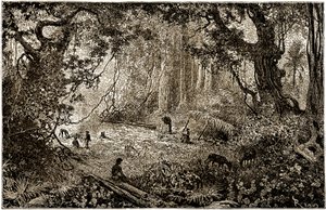 Instalación de un campamento de exploradores en Guatemala (1882)