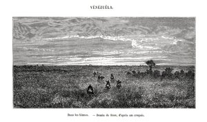 Los Llanos, Venezuela, siglo XIX de Edouard Riou