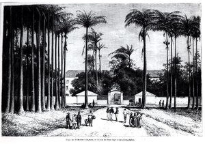 Place des Palmistes, Cayena, Guayana de Edouard Riou