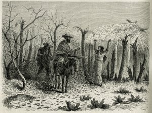 Las nubes de langostas del Valle del Alto Patía, con el narrador del viaje en su mula, grabado por Riou, ilustración de la historia L