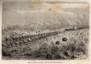 El remolque de un vapor a través de las balsas de vegetación que invaden el canal hueco para salir de un pantano, grabado después de un dibujo de E.Riou, ilustrando una expedición armada en África Central, para la supresión del comercio negro de Edouard Riou
