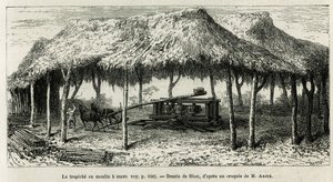 El trapiche, o molino de azúcar para moler las cañas en Panche (Colombia), ilustración de la historia de América equinoccial (Colombia, Ecuador, Perú), en 1875-1876, por Ed. Andre, viajero encargado de una misión por el gobierno francés. Grabado en Le tour