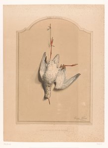 Archibebe muerto colgando de una pierna Le chevalier aux pieds rouge (título sobre objeto) Museo del Cazador (título de la serie) Musée du chasseur (título de serie sobre objeto) de Edouard Travies