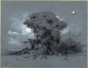 Árbol centenario