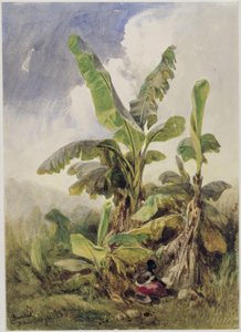  de Eduard Hildebrandt