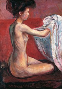 Desnudo en París