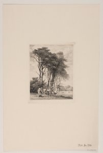 Paisaje. Vacas cerca de un bosque
