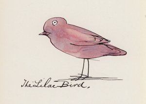Edward Lear, El libro de los pájaros: El pájaro lila (litografia en color)