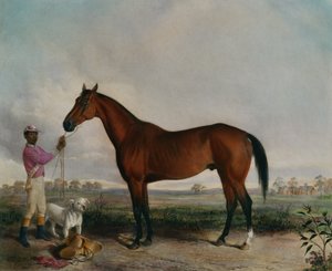 Enquirer, Bay Horse de Edward (after) Troye