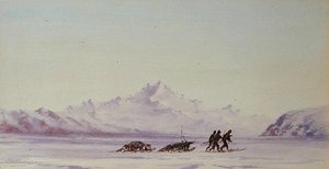 Escena Ártica