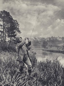 Un punto nudoso (foto b/n) de Edward Alfred Barton
