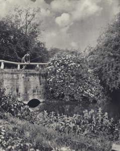 El puente del Canal sobre el Frays, Uxbridge (foto en blanco y negro) de Edward Alfred Barton