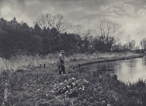 Los primeros ranúnculos de la primavera (foto en blanco y negro) de Edward Alfred Barton