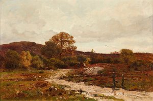 Paisaje de páramo