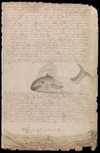 Placa del diario de Edward Barlow sobre su vida en el mar en barcos del rey, Indias Orientales y Occidentales y otros mercantes de 1659 a 1703. de Edward Barlow