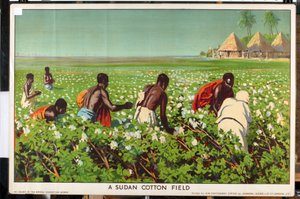 Un campo de algodón sudanés, de la serie "Empire Trade is Growing" (litografía en color) de Edward Barnard Lintott