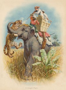 A Jungle Fight (litografía en color) de Edward Brice Montefiore
