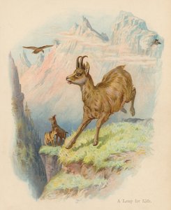 A Leap for Life (litografía en color) de Edward Brice Montefiore