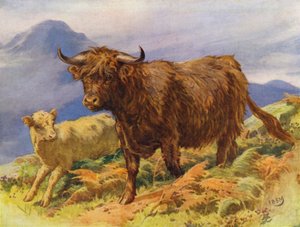 Vaca y ternero de las Tierras Altas (litografía en color) de Edward Brice Montefiore
